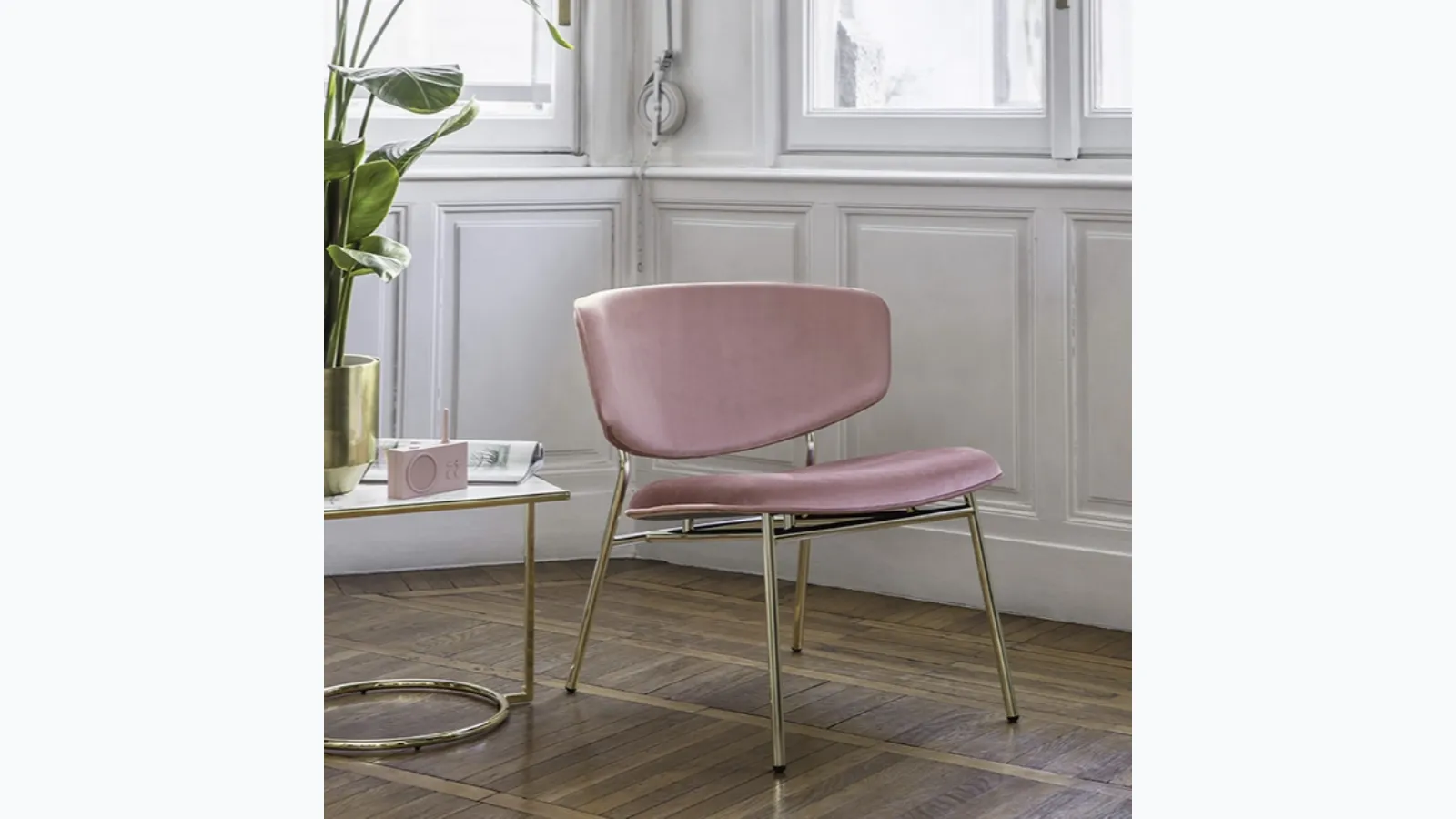 Poltroncina Fifties di Calligaris